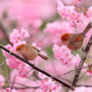 Meet your Posher, Christi